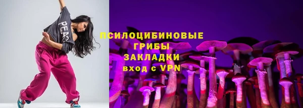 сатива Аркадак
