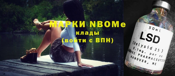сатива Аркадак