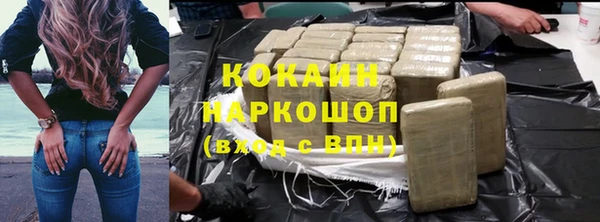 сатива Аркадак