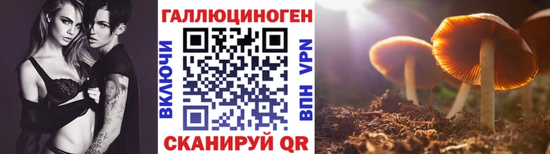 купить наркотик  Ливны  Псилоцибиновые грибы Cubensis 